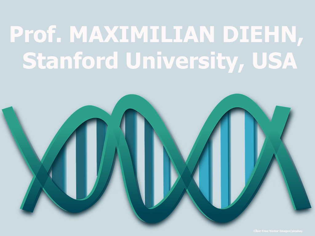 Circulating Tumor Dna Analysis For Detection And Molecular